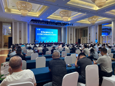 2023 China Byproduct Gypsum Scale Application Exchange Conference